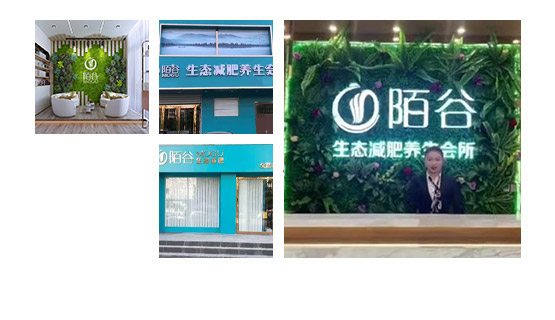 陌谷减肥馆加盟优势